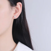 925 Sterling Silver Earrings For Men Women Star Zircon Earrings Sparkling Jewelry Accessories